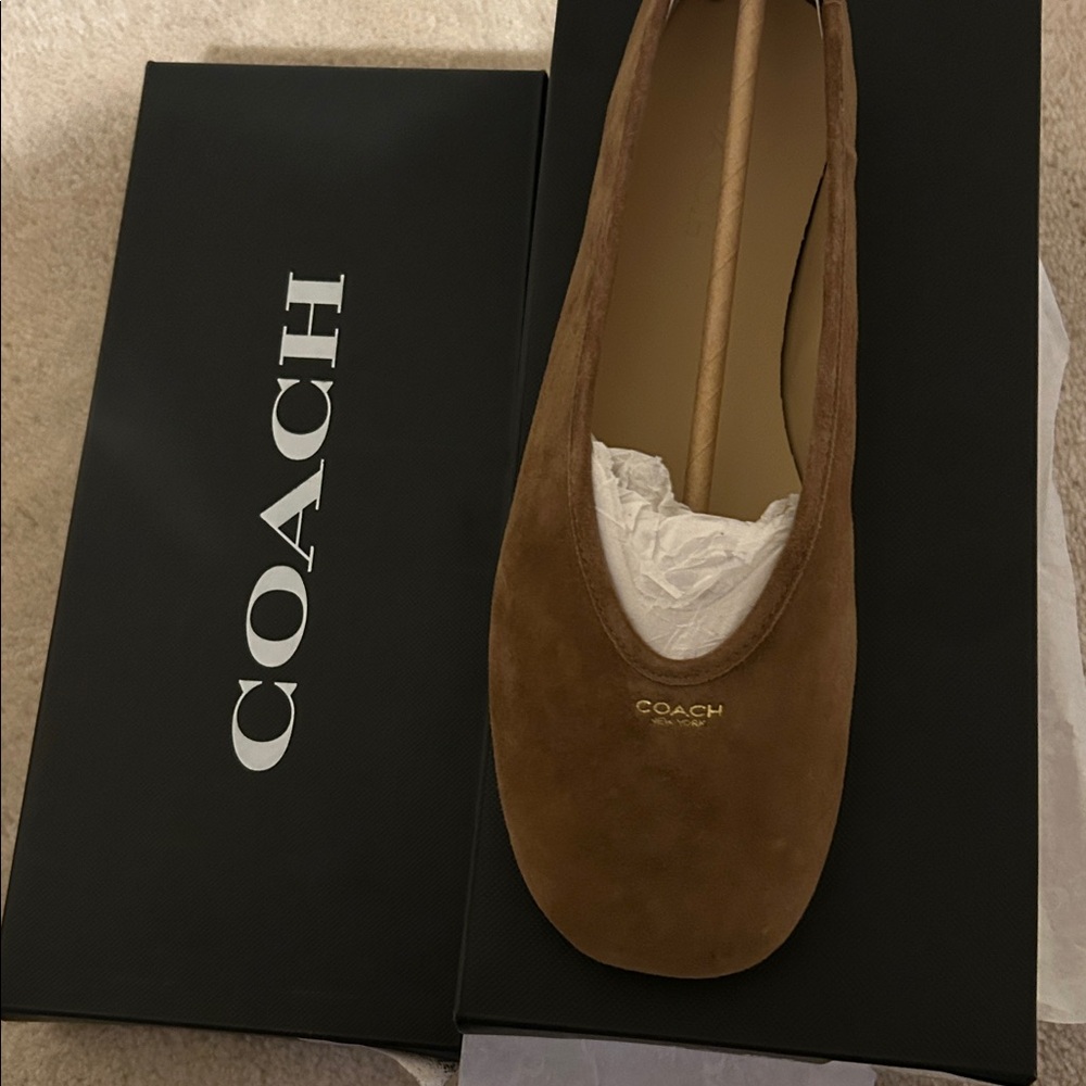 Coach Houston Ballet Flat Suede Coconut NWT - Picture 8 of 8